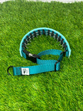 The MINI Stealth - Small Dog - Hidden Prong Collar