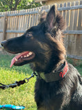 The Covert - Theme Design - Hidden E-Collar Receiver