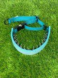 The MINI Stealth - Small Dog - Hidden Prong Collar