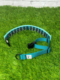 The MINI Stealth - Small Dog - Hidden Prong Collar