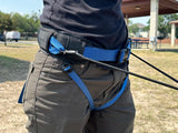 Modular Trekking and Canicross Belt with Integrated Bungee System