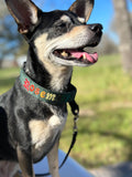 The MINI Stealth - Small Dog - Hidden Prong Collar