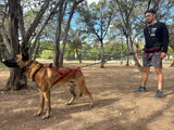 Modular Trekking and Canicross Belt with Integrated Bungee System