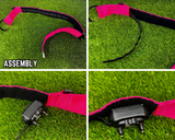 The Covert - Theme Design - Hidden E-Collar Receiver