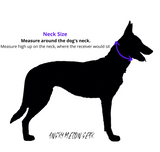 The Covert - Limited Edition Halloween - Hidden E-Collar Receiver