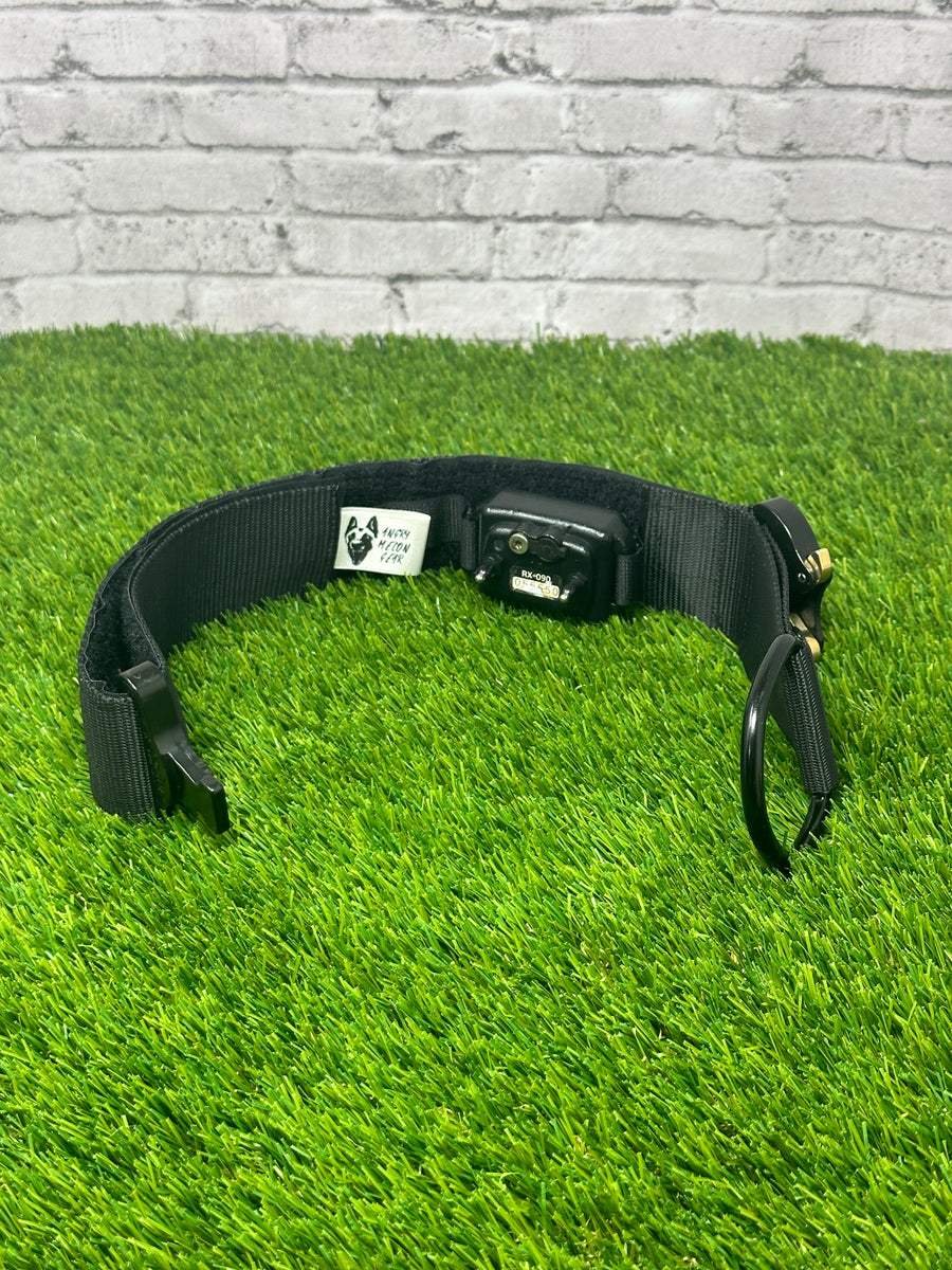 Premade Covert Buckle Collar Angry Melon Gear