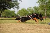 Junior Pull - Weight Training Attachment