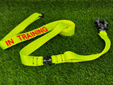 1” Leash - With Embroidery