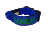 1.5" Quick Release Buckle Collar (Metal or Plastic)