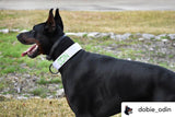 Collar con hebilla de liberación rápida de 2" (metal o plástico)