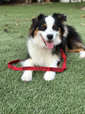 1” Leash - With Embroidery