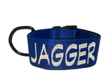Collar con hebilla de liberación rápida de 2" (metal o plástico)