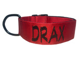 Collar con hebilla de liberación rápida de 2" (metal o plástico)