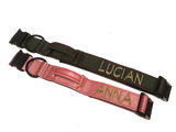 Collar con hebilla de liberación rápida de 2" (metal o plástico)