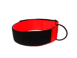 Ligero 2" (Collar de cachorro - Collar de parche)