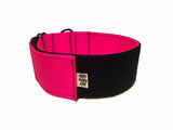 Ligero 2" (Collar de cachorro - Collar de parche)