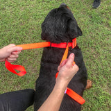 Coursing Lead