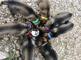 Juego de collares para basura (mínimo de 4 collares)