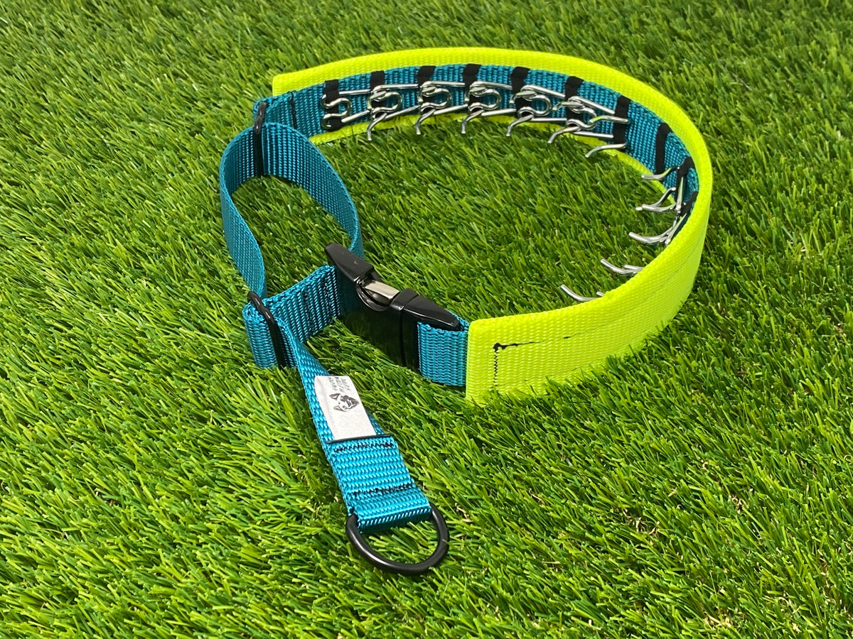 The Stealth Hidden Prong Collar - Main Image