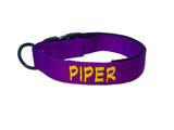 Collar con hebilla de liberación rápida de 1" (metal o plástico)
