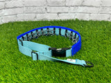 The Stealth - Theme Design - Hidden Prong Collar