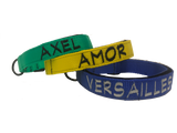 Collar con hebilla de liberación rápida de 1" (metal o plástico)