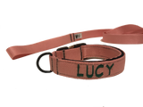 Collar con hebilla de liberación rápida de 1" (metal o plástico)