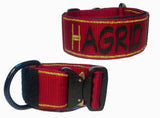 Collar con hebilla Cobra de 2"