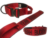 2" Cobra Buckle Collar