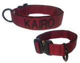 Collar con hebilla Cobra de 1.5"