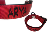 Collar con hebilla de liberación rápida de 2" (metal o plástico)