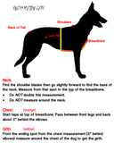 Puppy Starter Harness / Half Back Harness