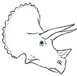 Custom Image Digitizing