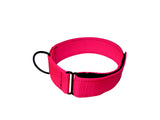 Ligero 2" (Collar de cachorro - Collar de parche)