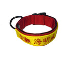 Collar con hebilla estilo cinta de identificación