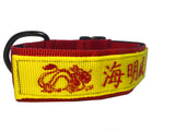 Collar con hebilla estilo cinta de identificación