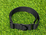 Universal 1" (simple y negrita)