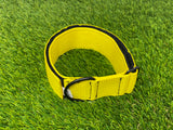 Ligero 2" (Collar de cachorro - Collar de parche)
