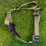 Puppy Starter Harness / Half Back Harness