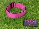 Ligero 1.5" (Collar de cachorro - Collar de parche)
