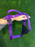 Puppy Starter Harness / Half Back Harness