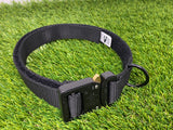 Collar con hebilla Cobra de 1"