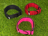 Ligero 1.5" (Collar de cachorro - Collar de parche)