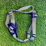 Puppy Starter Harness / Half Back Harness