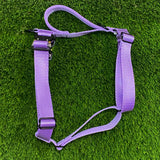 Puppy Starter Harness / Half Back Harness