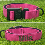 Collar con hebilla Cobra de 1"