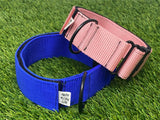 Ligero 1.5" (Collar de cachorro - Collar de parche)