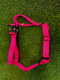 Puppy Starter Harness / Half Back Harness