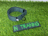 Ligero 1.5" (Collar de cachorro - Collar de parche)