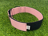 Ligero 1.5" (Collar de cachorro - Collar de parche)